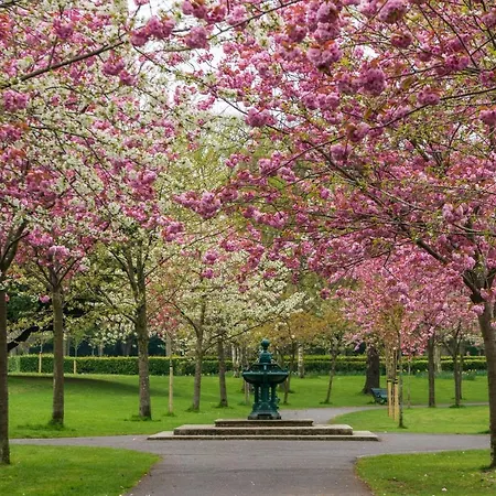 Отель Park At Herbert Park 4*