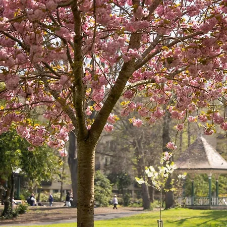 Park At Herbert Park Отель 4*